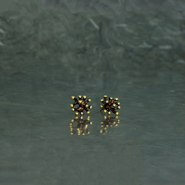 Anémona chocolate, pendientes minis