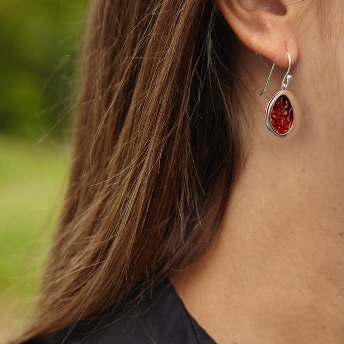 Gorgonia, pendientes medianos, de gancho móvil