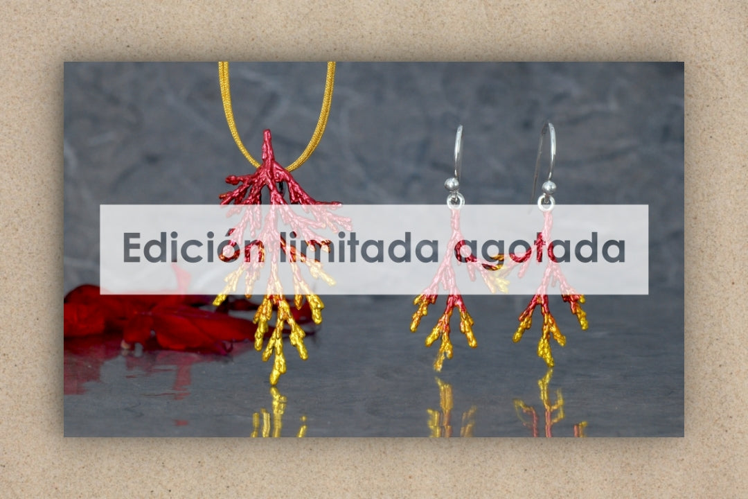 Edición limitada Tuya otoño agotada en una semana