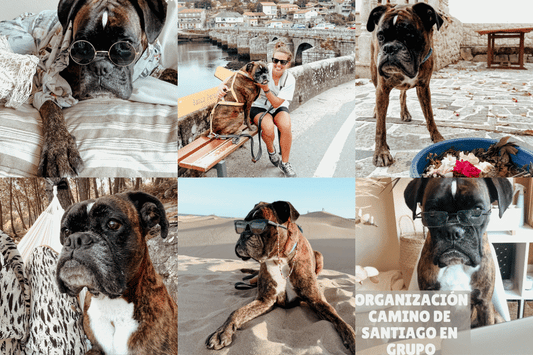 Visita de Neka boxer estrella de instagram a Ardentia Vigo
