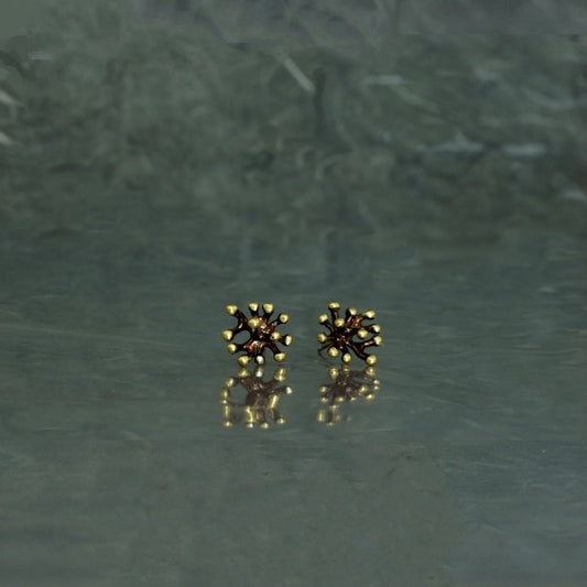 Anémona chocolate, pendientes minis