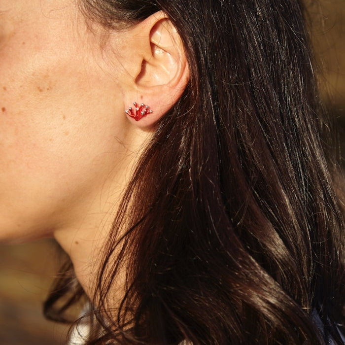 Anémona pasión, pendientes de presión minis