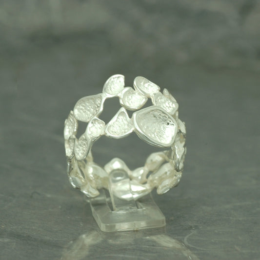 Dream nieve, alianza ancha